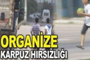 Karpuz hırsızları kameraya b&ouml;yle yakalandı