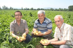 Ziraat Odası'ndan &ccedil;ift&ccedil;ilere 'tokat&ccedil;ı' ikazı