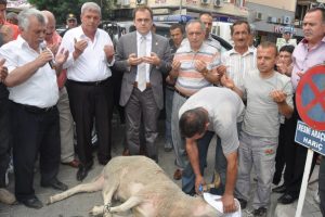 Matlı'ya memleketinde coşkulu karşılama