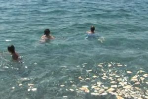 Bu g&ouml;r&uuml;nt&uuml;ler turizm cenneti Antalya'dan!
