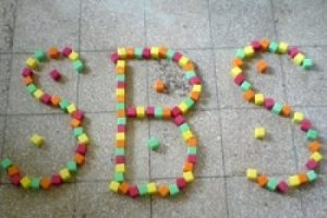 SBS sonu&ccedil;ları a&ccedil;ıklanıyor