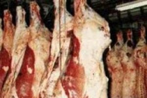 Yarım ton at eti ele ge&ccedil;irildi