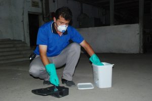 B&ouml;ceksavar timler iş başında