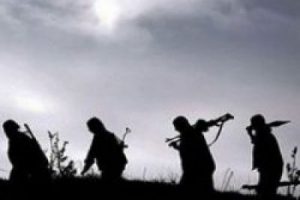 PKK'dan ka&ccedil;an 14 ter&ouml;rist teslim oldu