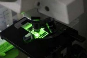 Kan testleriyle ilgili şok gelişme!