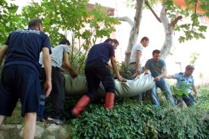 Fidan sevdası &ouml;ld&uuml;r&uuml;yordu