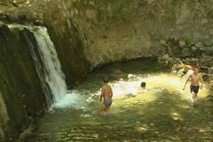 Sıcaktan bunalan kendini dereye attı