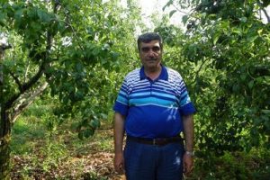D&uuml;nya armudu Bursa'dan - &Ouml;ZEL HABER