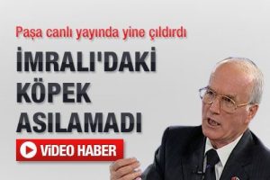 "İmralı'daki k&ouml;pek asılamadı"