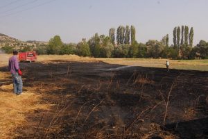 G&uuml;vercin 2 d&ouml;n&uuml;ml&uuml;k tarlayı k&uuml;l etti