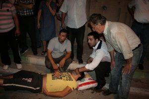 K&ouml;pr&uuml;den u&ccedil;an ara&ccedil;ta can pazarı