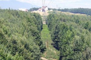 Uludağ'daki plastik bandajlar koşulara engel