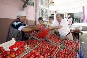 Osmanlı domatesinin tohumları g&ouml;zde oldu
