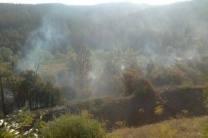 Unutulan piknik ateşi 2 hektarlık ormanı k&uuml;l etti