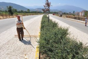 Ay&ccedil;ekirdeklerini &ccedil;evreyolunda kurutuyorlar