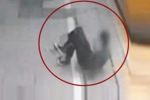 İşte o inanılmaz g&ouml;r&uuml;nt&uuml;ler