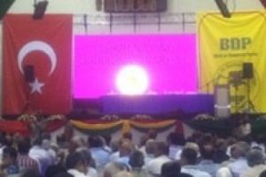 BDP'den T&uuml;rk bayraklı kongre!
