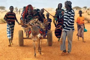 Somali'den Kenya'ya &ouml;l&uuml;m&uuml;ne yolculuk