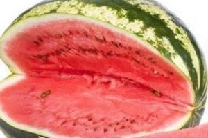 İşte Ağustos'un zam şampiyonu!