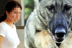 &Ouml;nce korkuttu, sonra tecav&uuml;zden kurtardı
