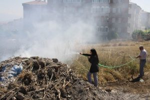 Arazi yangınında 20 kovan arı telef oldu