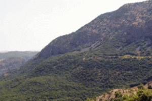 PKK'nın b&uuml;y&uuml;k Suriye oyunu ortaya &ccedil;ıktı