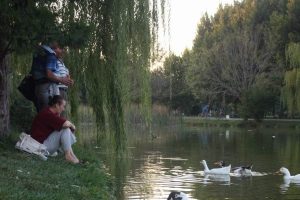 Şehrin ortasındaki huzur
