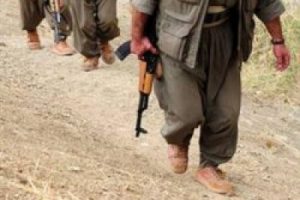 Yol kesen PKK bir vatandaşı öldürdü