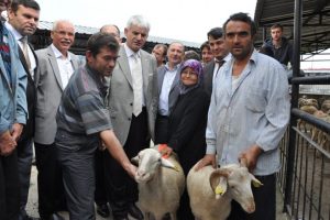 Hayvancılığa b&uuml;y&uuml;k destek