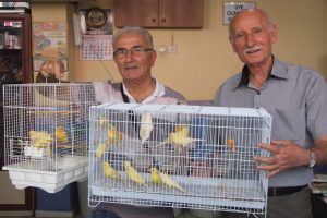 İkinci el otomobil fiyatına kanarya