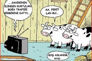 B&ouml;yle davrananları b&ouml;yle cezalar bekliyor!