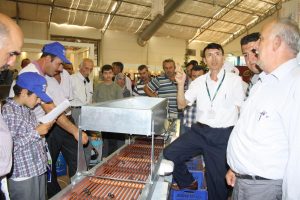 M&uuml;hendis &ccedil;ift&ccedil;i zeytin tanelerini ayırmak i&ccedil;in makine yaptı