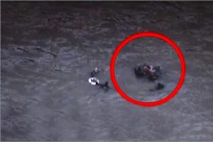 Nehre d&uuml;şen helikopterdeki turistler b&ouml;yle kurtarıldı