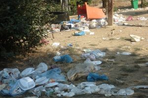Piknik&ccedil;ilerin &ccedil;&ouml;pl&uuml;ğe d&ouml;nd&uuml;rd&uuml;ğ&uuml; Oylat'ı belediye temizledi