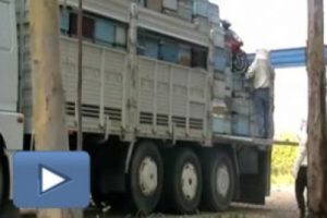 Kovandan bal yerine zehir &ccedil;ıktı