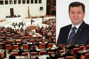 10 Dil bilen vekil