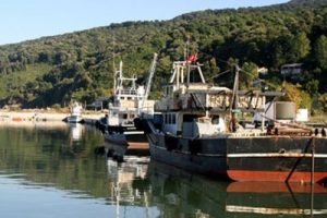 Bursa ve &ccedil;evresine yeşil yatırım