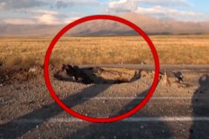 İşte Bitlis'teki saldırının olduğu yer