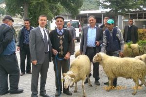Orhanelili &ccedil;ift&ccedil;ilere koyun dağıtıldı