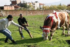 Bayramda kurallara uymayanları b&uuml;y&uuml;k cezalar bekliyor