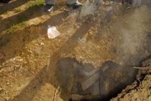 Yalova tedirgin g&ouml;zler T&Uuml;BİTAK'ta