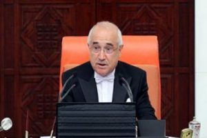 &Ccedil;i&ccedil;ek'ten 'yeni anayasa'ya katılım &ccedil;ağrısı