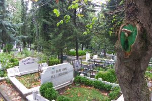Yeşil-Beyaz mantar Bursa'nın uğuru oldu - &Ouml;ZEL HABER