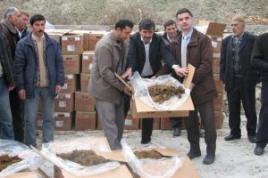 Dağ y&ouml;resinde yediveren &ccedil;ileği yetiştirilecek