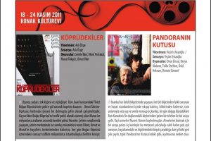 T&uuml;rk sinemasının se&ccedil;kin &ouml;rnekleri Nil&uuml;fer'de