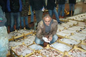 Balıklar santim santim &ouml;l&ccedil;&uuml;l&uuml;yor