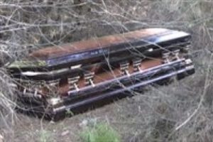 Ormanlık alanda esrarengiz tabut bulundu