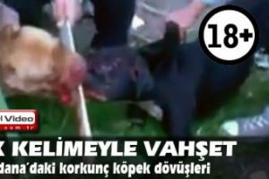 Vahşet kameralara b&ouml;yle yansıdı