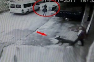 K&ouml;peği g&ouml;r&uuml;nce kavgayı bırakıp ka&ccedil;tılar