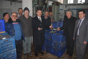 Yılmaz: Zeytin &uuml;reticisinin kaybı b&uuml;y&uuml;k